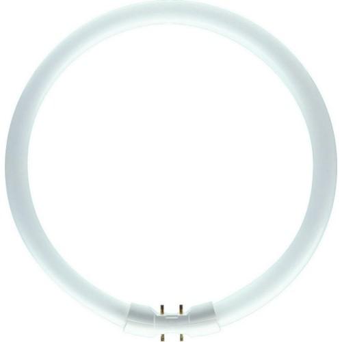 Kruhová zářivka Philips MASTER TL5 Circular 60W/840 T5 2GX13 neutrální bílá 4000K