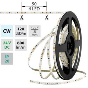LED pásek McLED 24V studená bílá š=4mm IP20 7